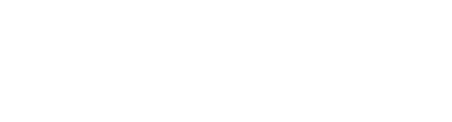 Logo Papaiz